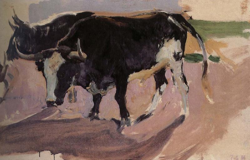 Joaquin Sorolla Bull Project Sweden oil painting art